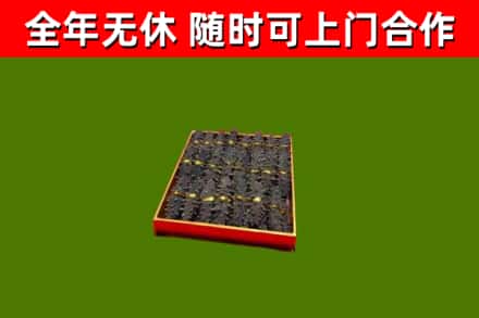 克拉玛依回收海参